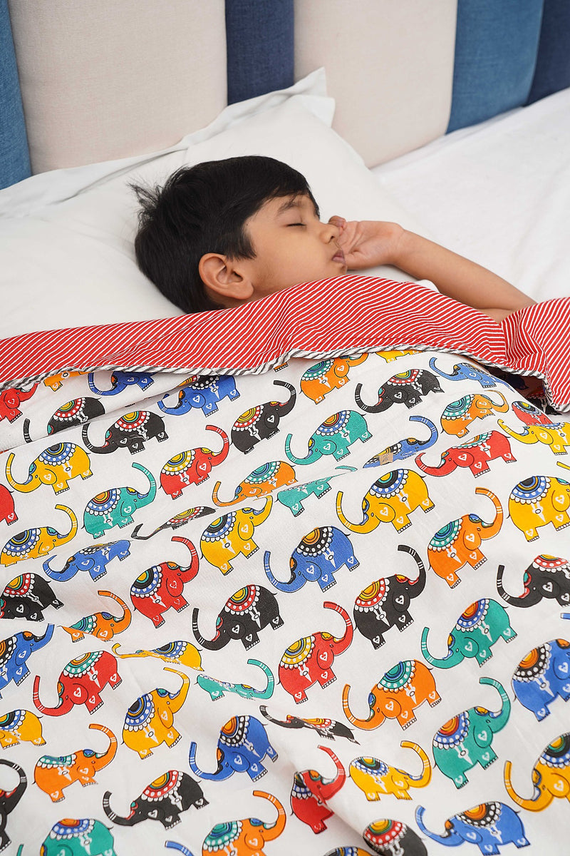 Kids AC Reversible Dohar - Multi Colour Elephant Print